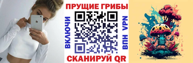 Купить где Саяногорск Псилоцибиновые грибы прущие грибы